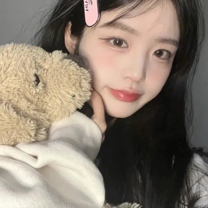 寻找神话之鸟